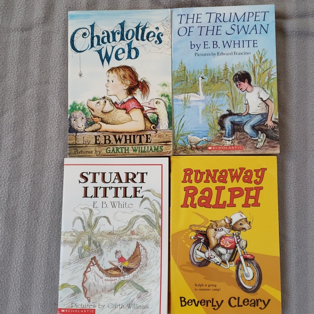 A Bundle of 16 Chapter Books Elementary School age